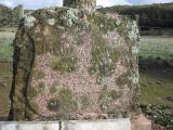 image of grave number 220093
